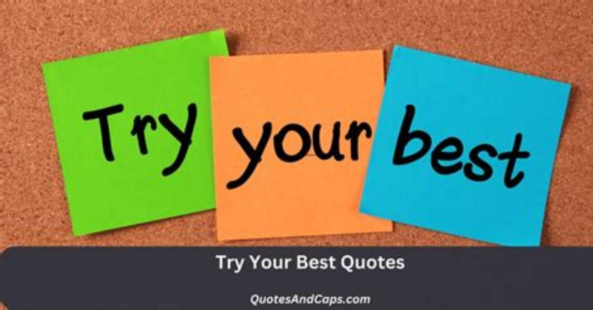 Will Try Our Best Meaning?