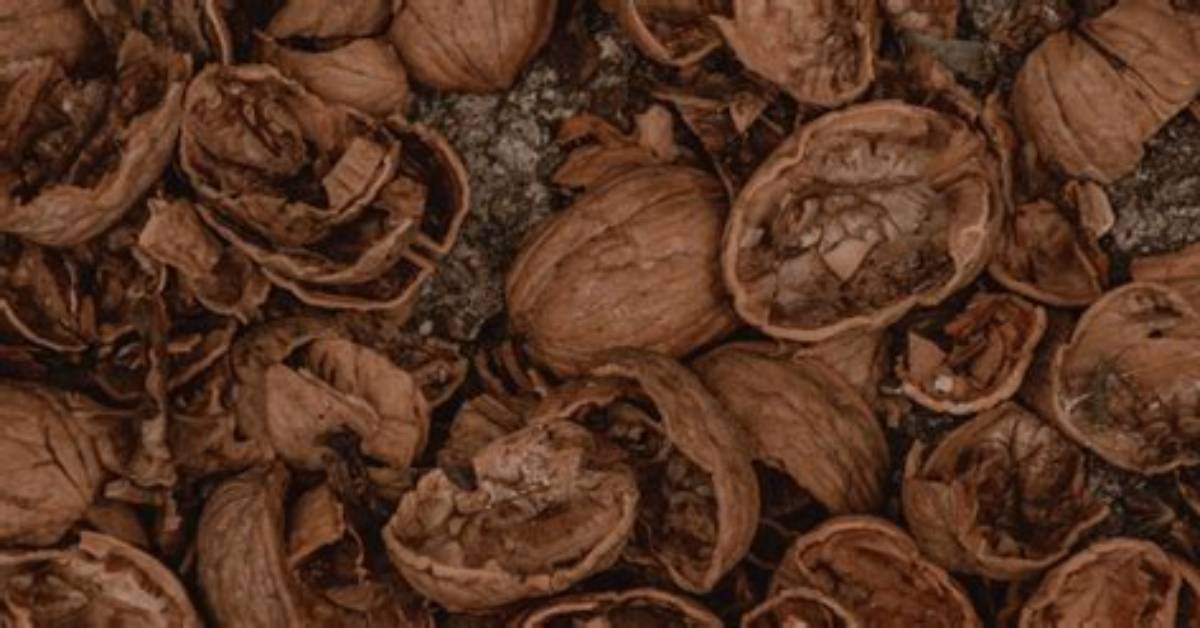 Will Walnut Shells Remove Rust?