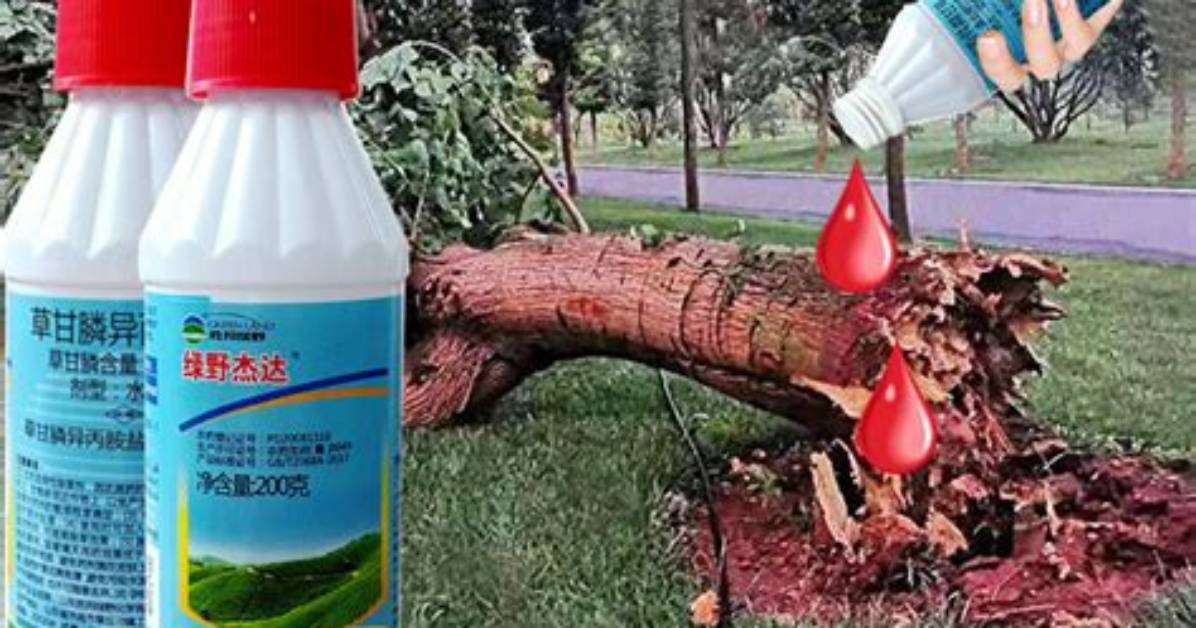 Will Weedmaster Kill Trees? | Contextresponse. Com