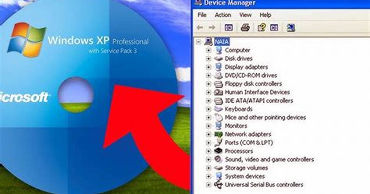Will Windows Xp Drivers Work on Windows 10?