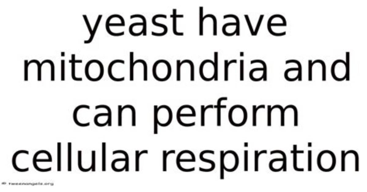 Will Yeast Have Mitochondria?