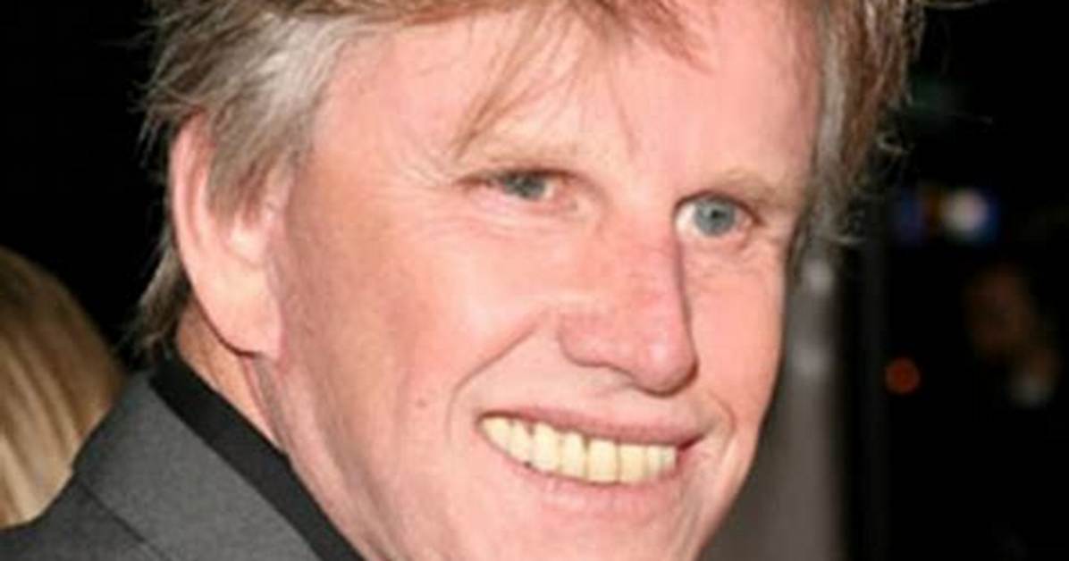 William Gary Busey Net Worth