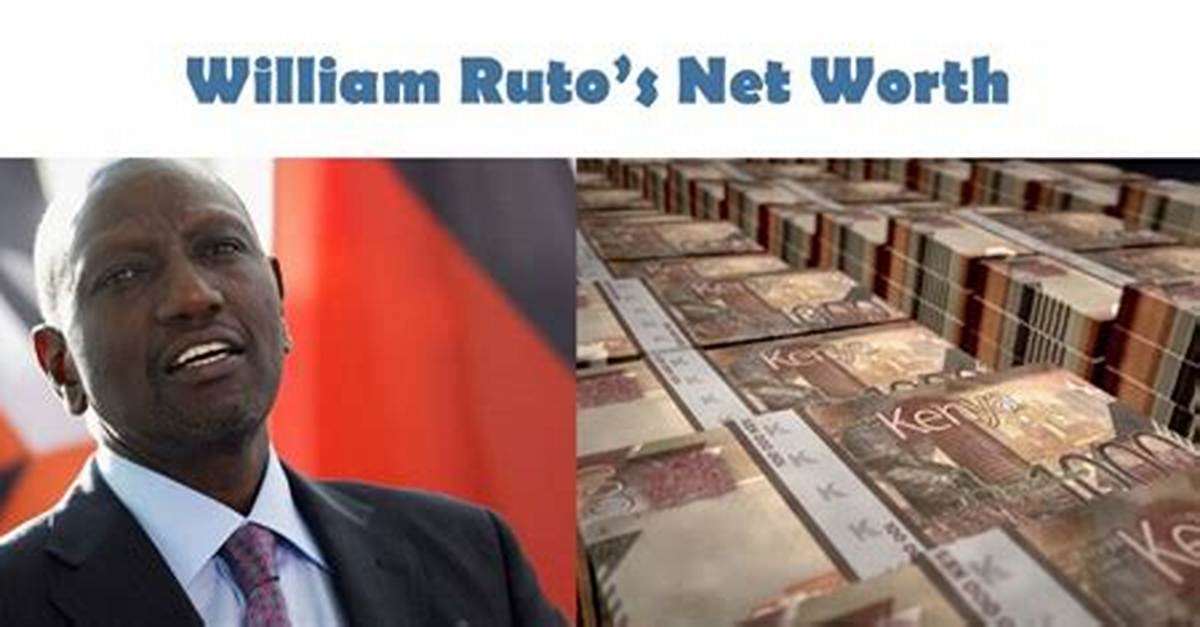 William Nuti Net Worth