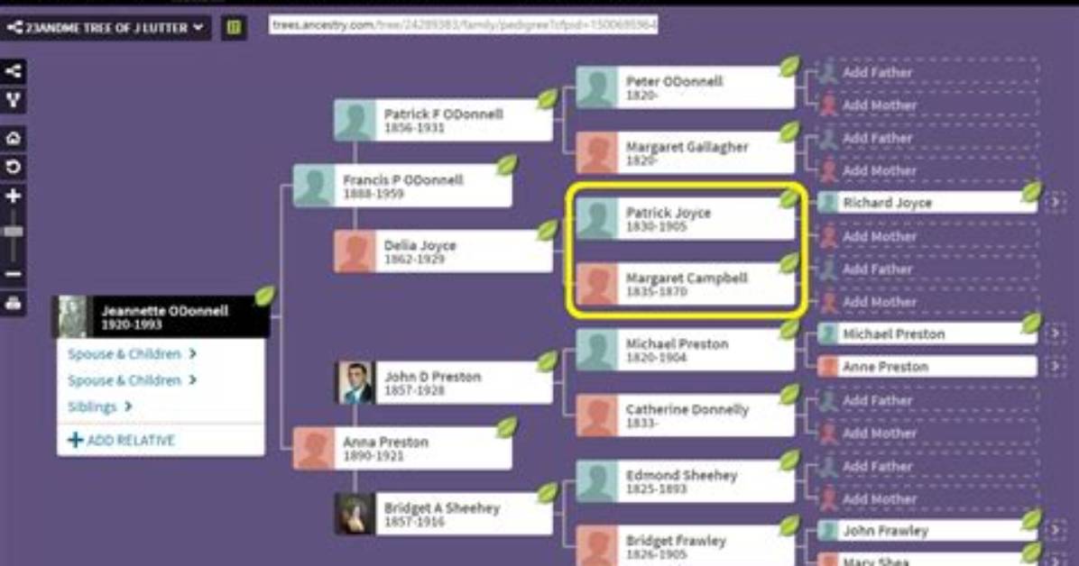 William Shirley (3): Family Tree by Frebault