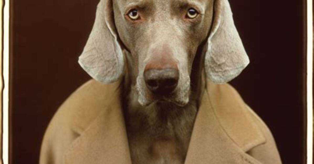William Wegman