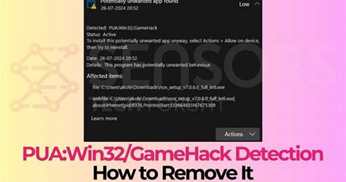 Win32/Gamehack. Euu Potentially Unsafe