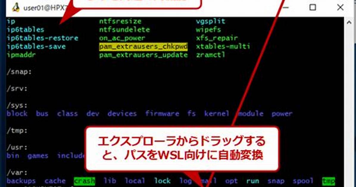 Windows 10 Wsl (Bash) and Mintty