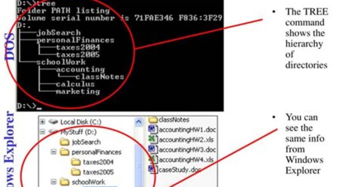 Windows "Tree" Command Sorts Randomly