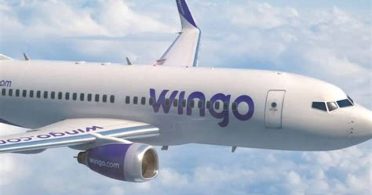 Wingo/Agent. Cc