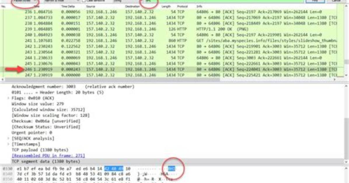 Wireshark Search for String