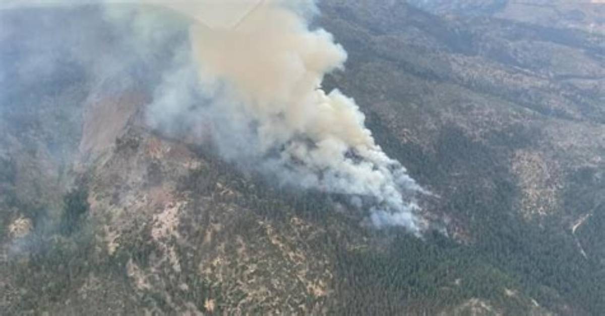 Wolf Creek Fire in Alpine County Now 100% Contained | News