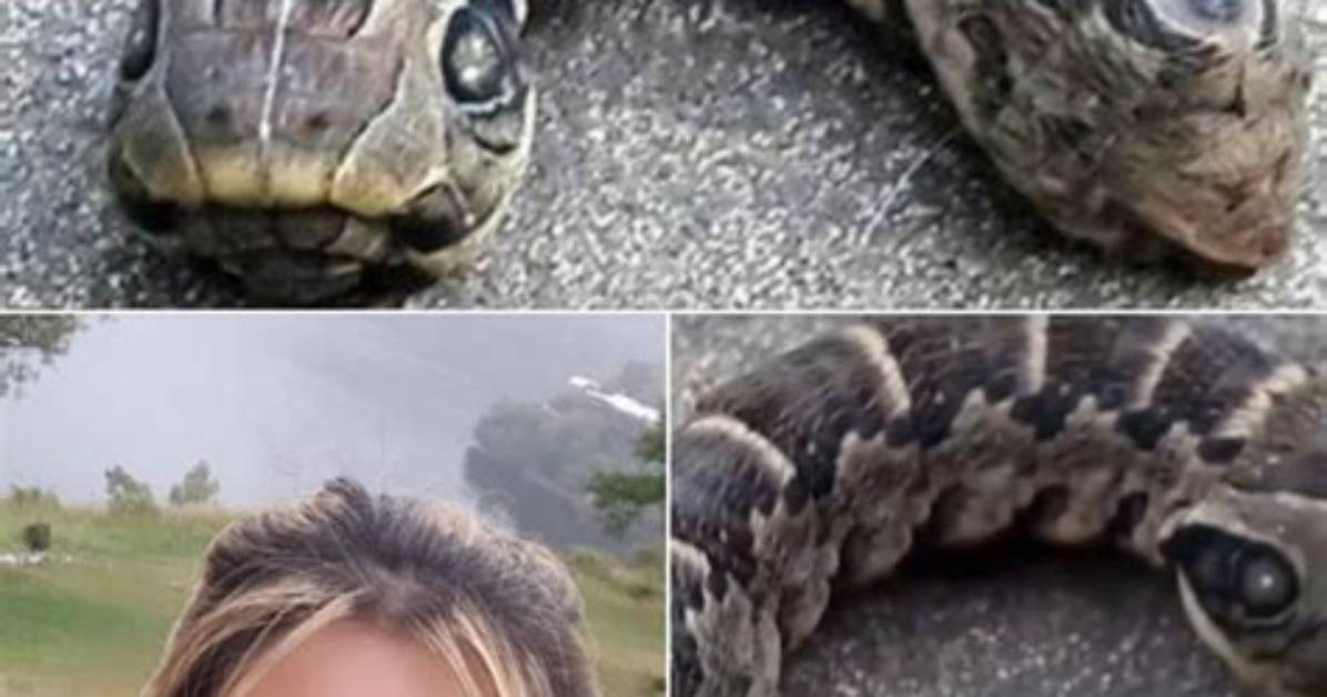 Woman Discovers Strange Snake-Like Creature – You Won’t Believe What It Really Is