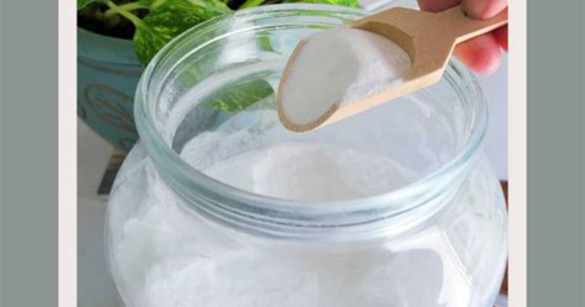 Woman Shares How to Make Laundry Detergent from Conkers