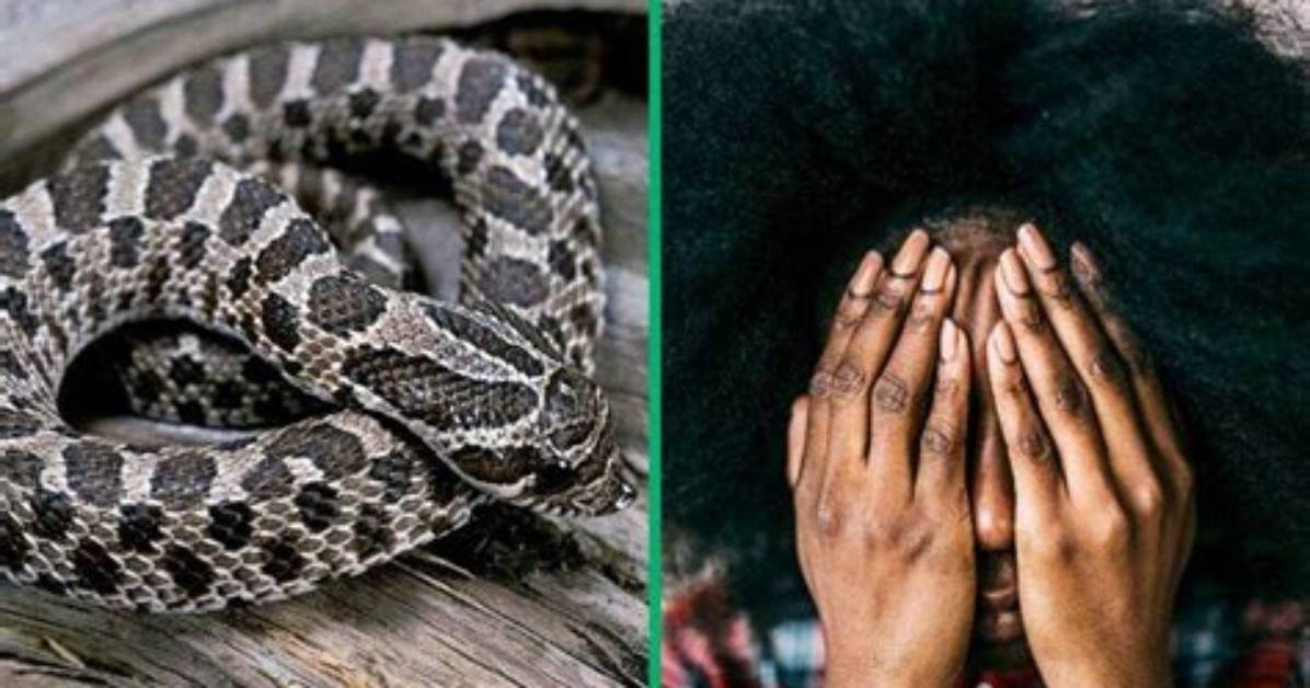 Woman Terrified Upon Spotting Puff Adder on the Road in Viral Tiktok Video, Mzansi Cracks Jokes