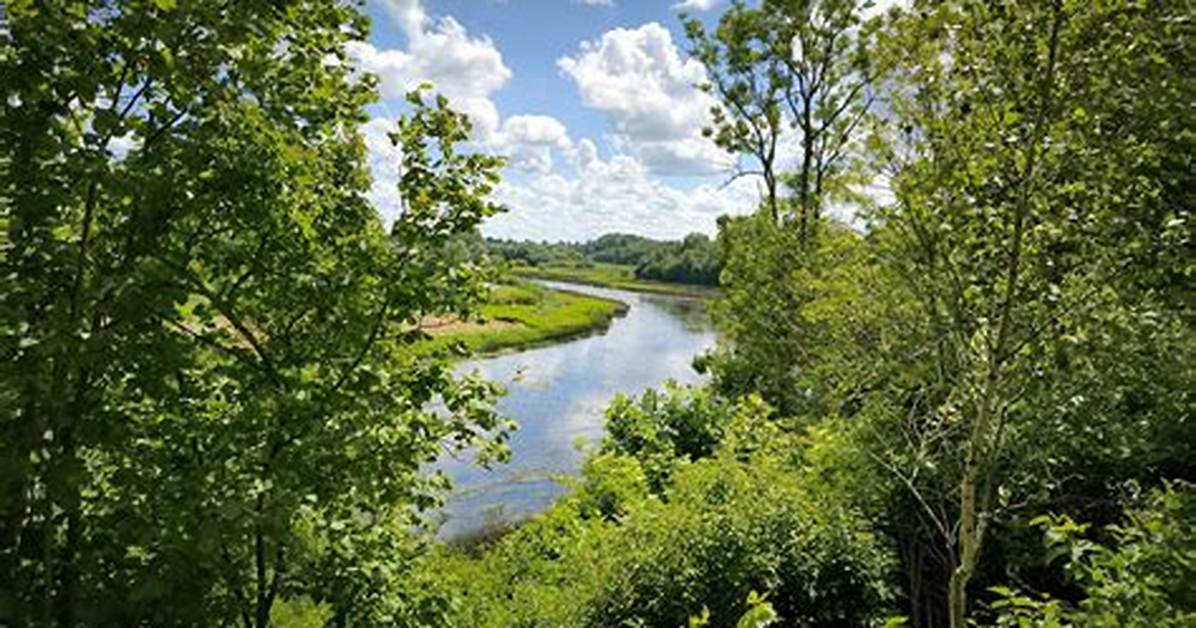 Wonders of Nature at the River Common Amphitheater