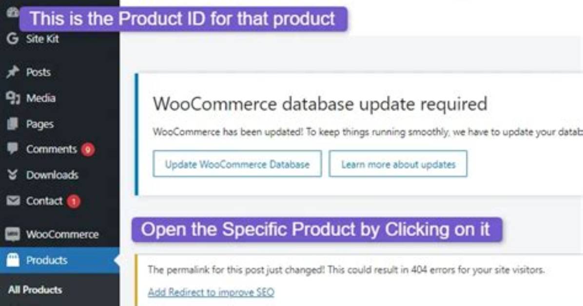 Woocommerce, Get Current Product Id