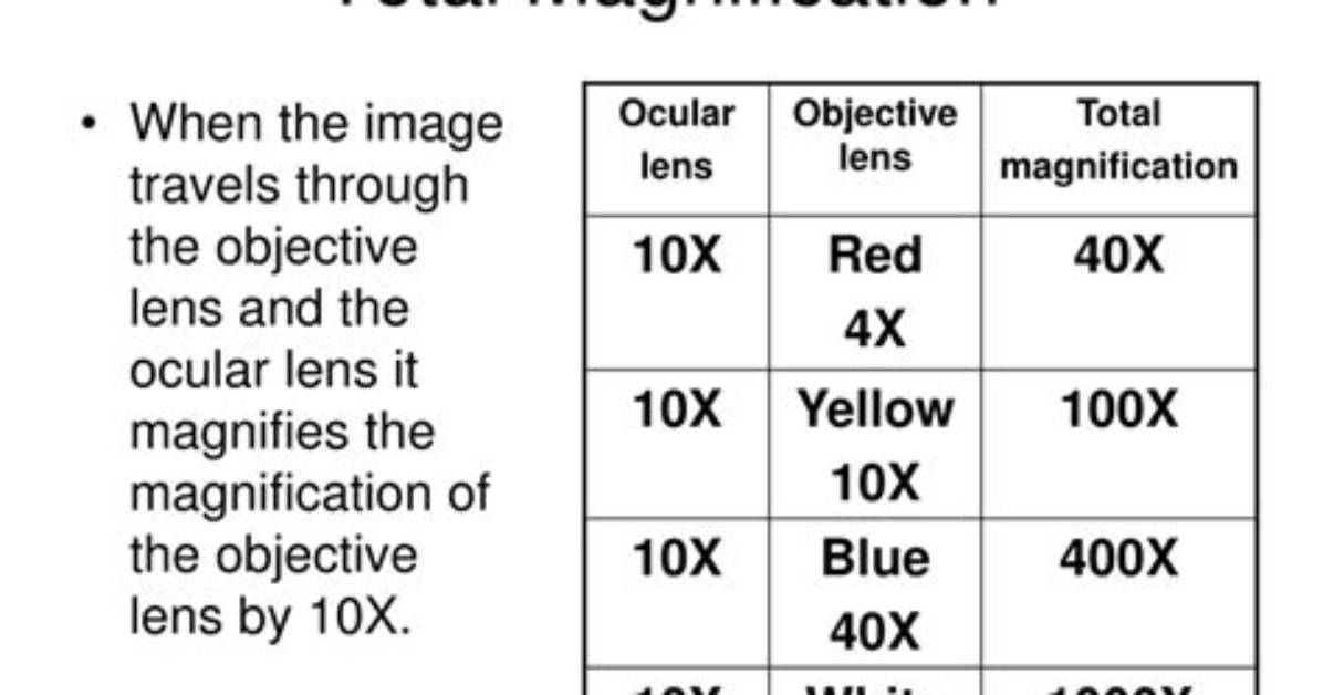 Would Be the Total Magnification?