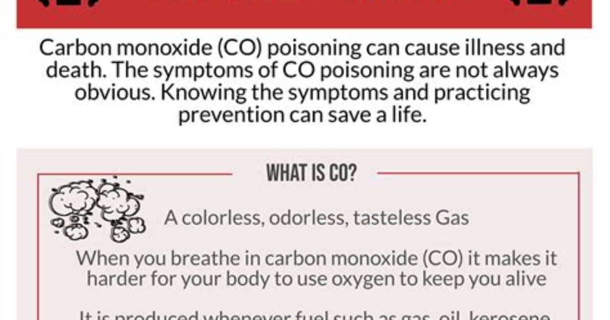 Would Carbon Monoxide Kill a Dog?