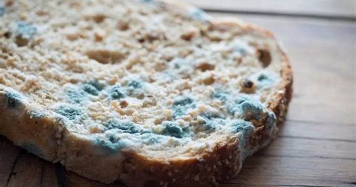 Would Mouldy Bread Make You Sick?