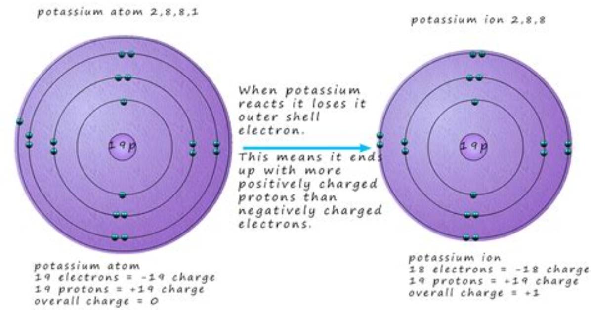 Would Potassium Lose Electrons?