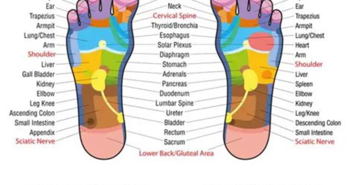 Would Reflexology Help Sciatica?