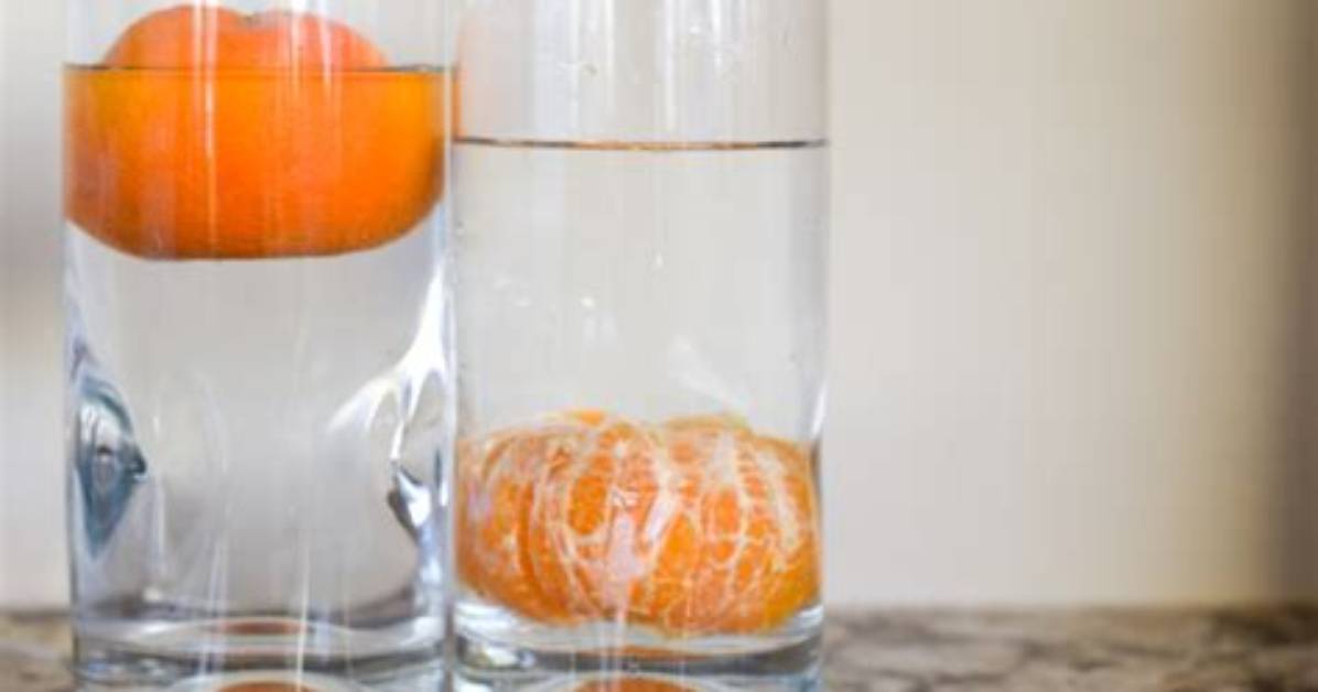 Would the Peeled Orange Sink or Float Why?
