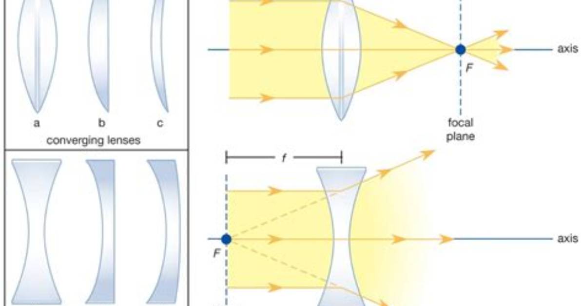 Would Use a Convex Lens?