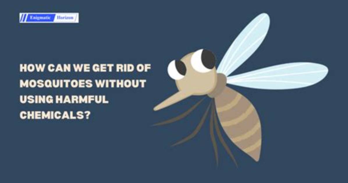 Would We Die Without Mosquitoes?