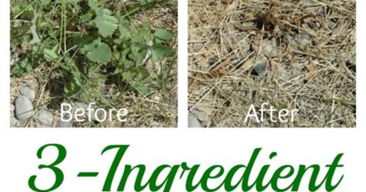 Would Weed Killer Kill a Cat?