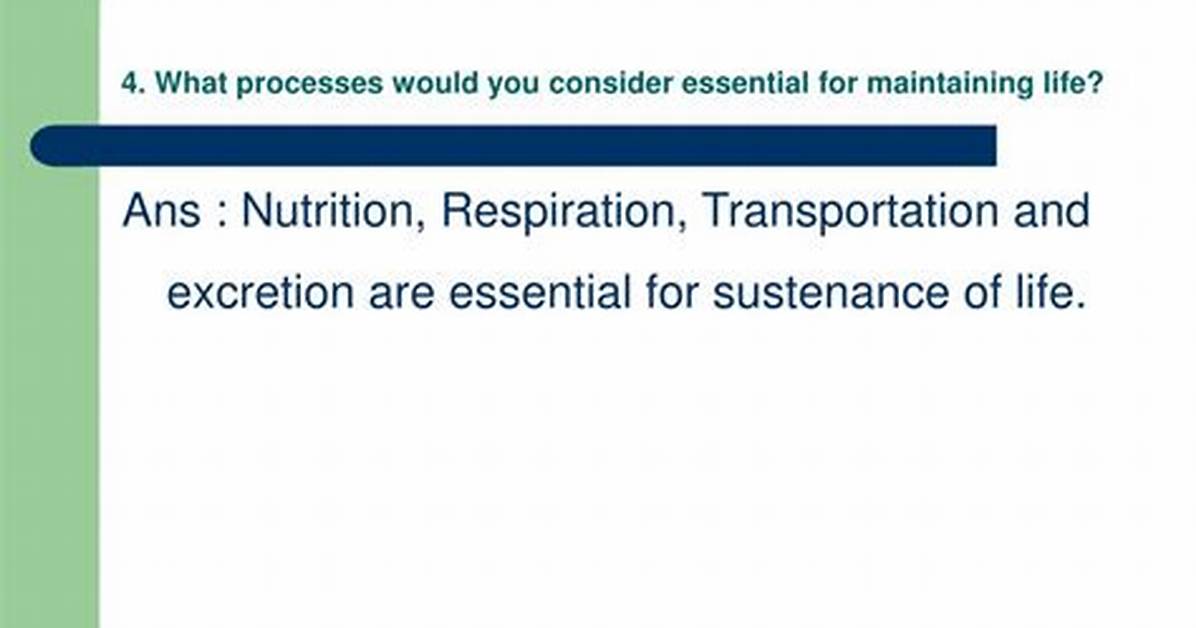 Would You Consider Essential for Maintaining Life?