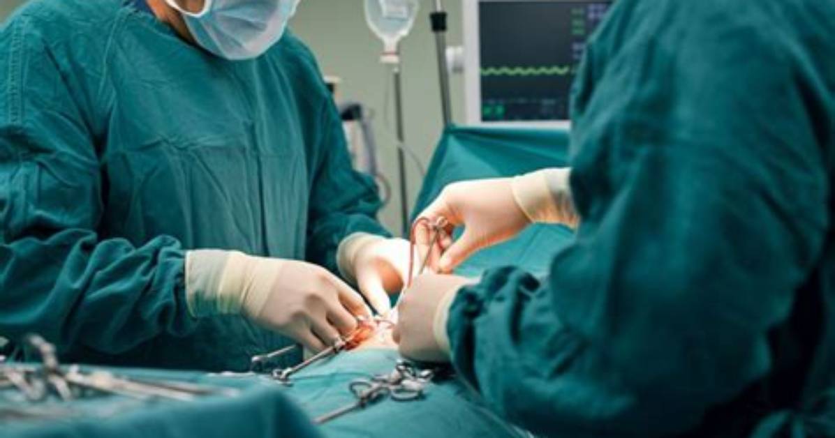 Would You Do Surgery on a 13 Year Old Dog?