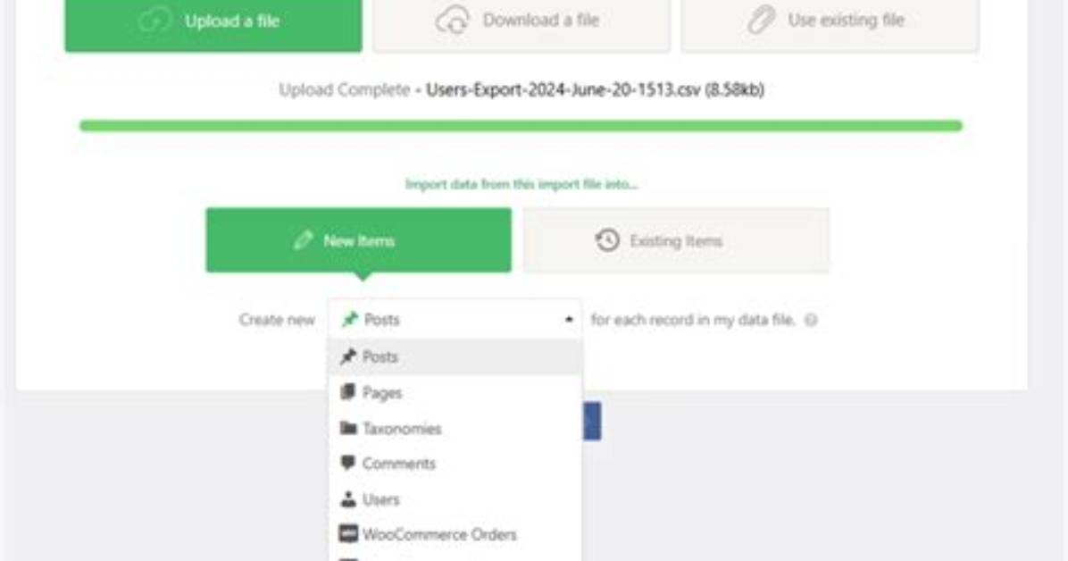 Wp All Import Stock Ovewritte