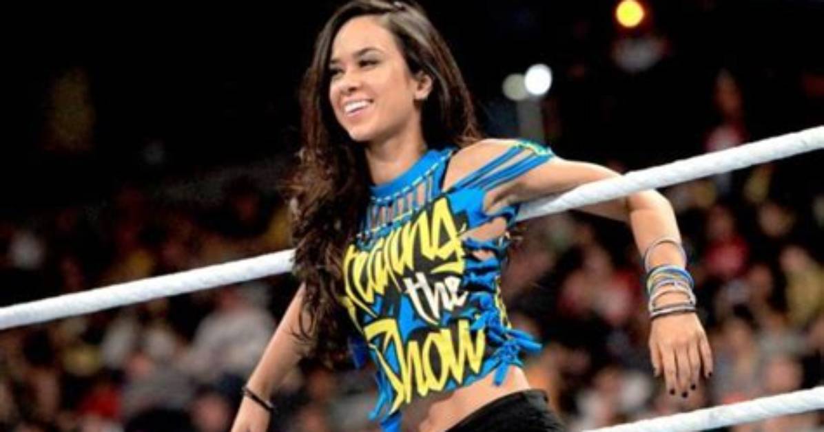 Wwe Diva Aj Lee Net Worth