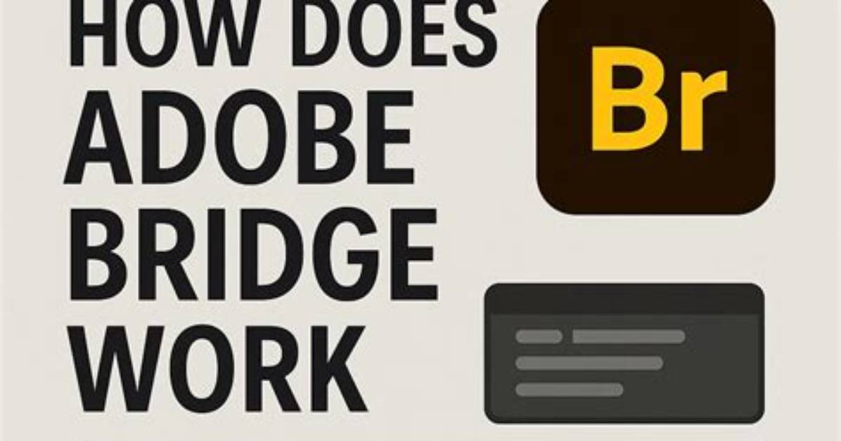 You Asked: Does Adobe Bridge Work with Photoshop Elements?