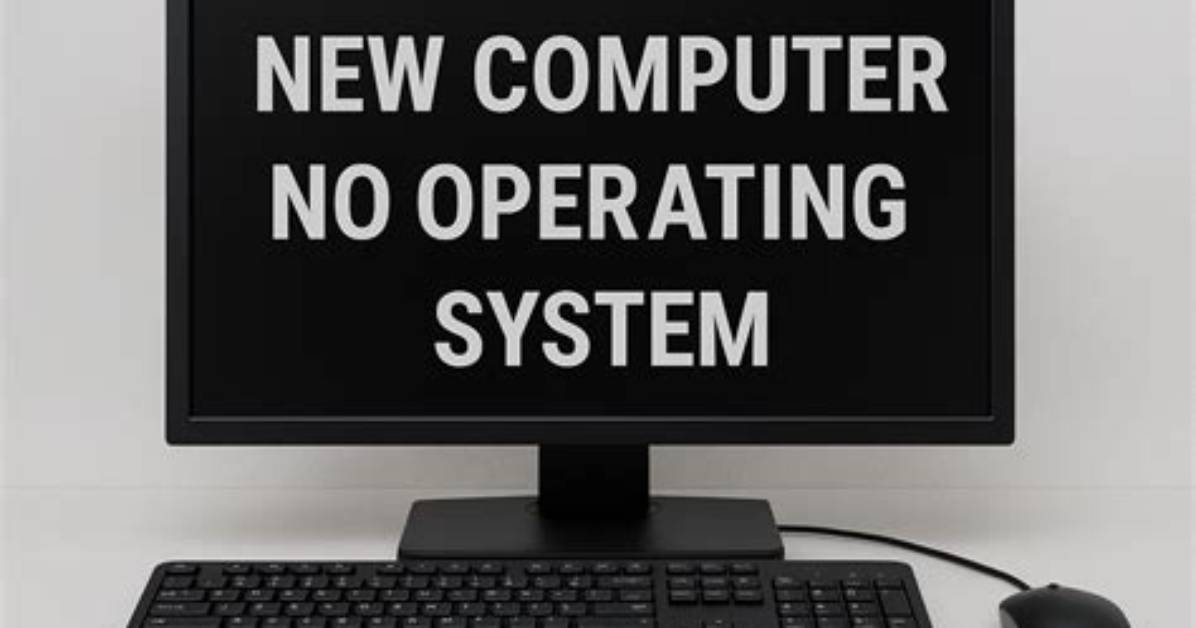 You Asked: What Does No Operating System Mean Ps4?