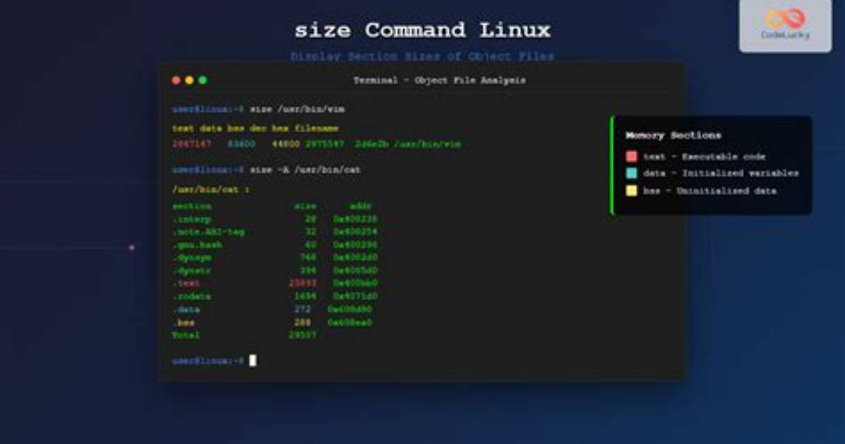 You Asked: What Is Display Command Linux?