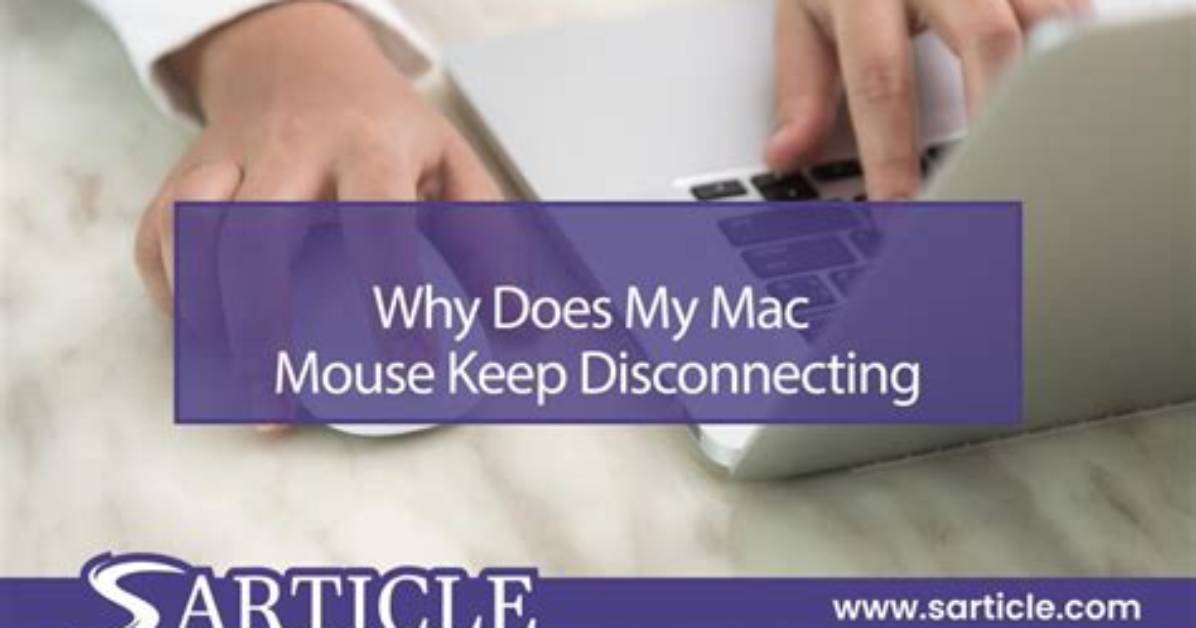 You Asked: Why Does My Mac Says macOS Could Not Be Installed on Your Computer?