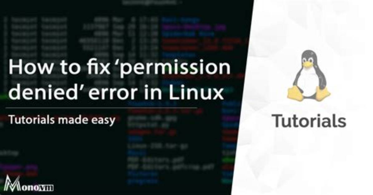 You Asked: Why Is Permission Denied Linux?