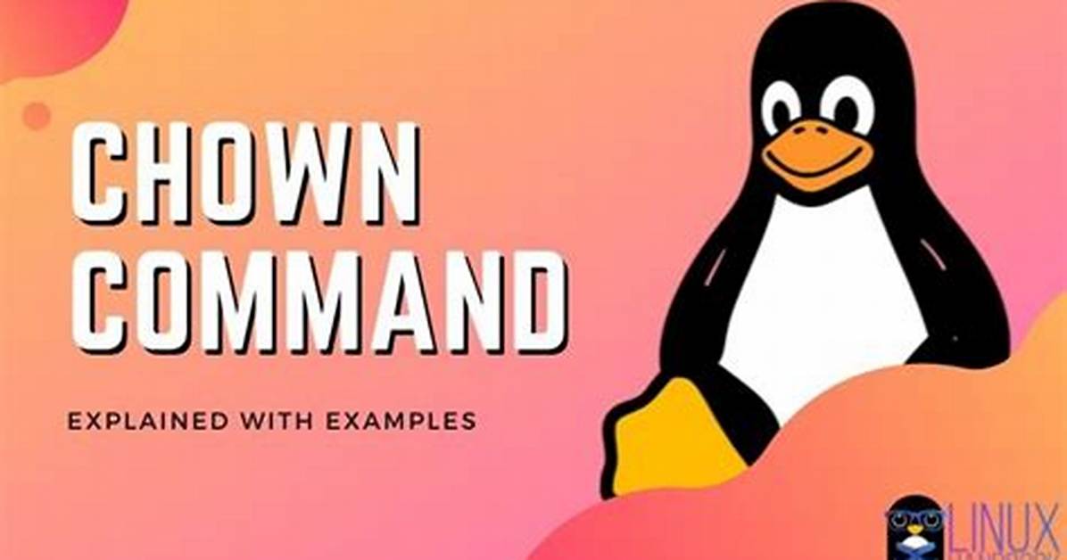 You Asked: Why We Use Chown Command in Linux?