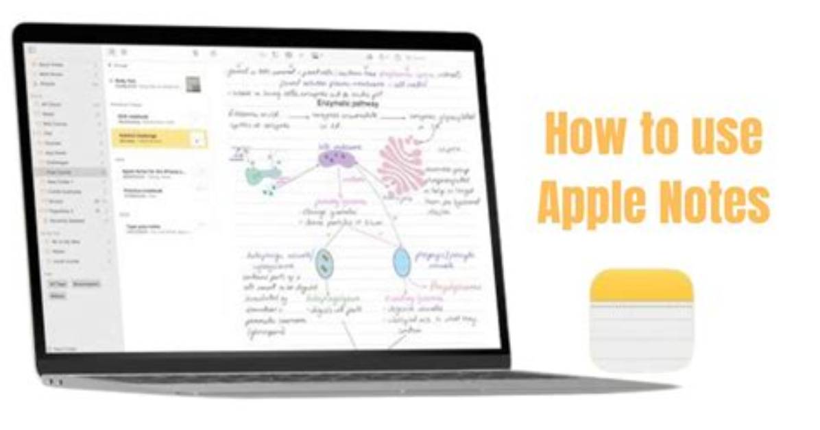 Your Question: Can Apple Notes Be Shared with Android?