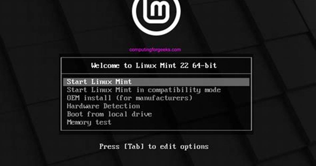 Your Question: How Do I Start Linux in Safe Mode?