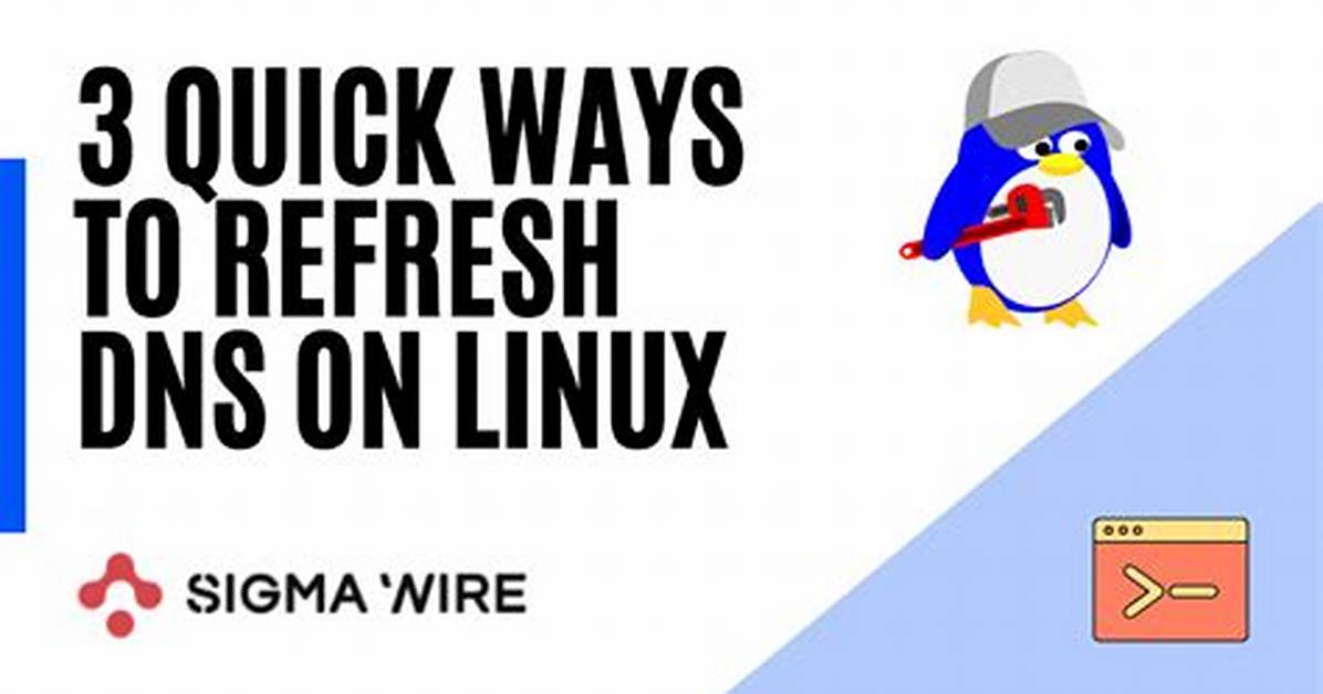 Your Question: How Do You Refresh Dns on Android Box?