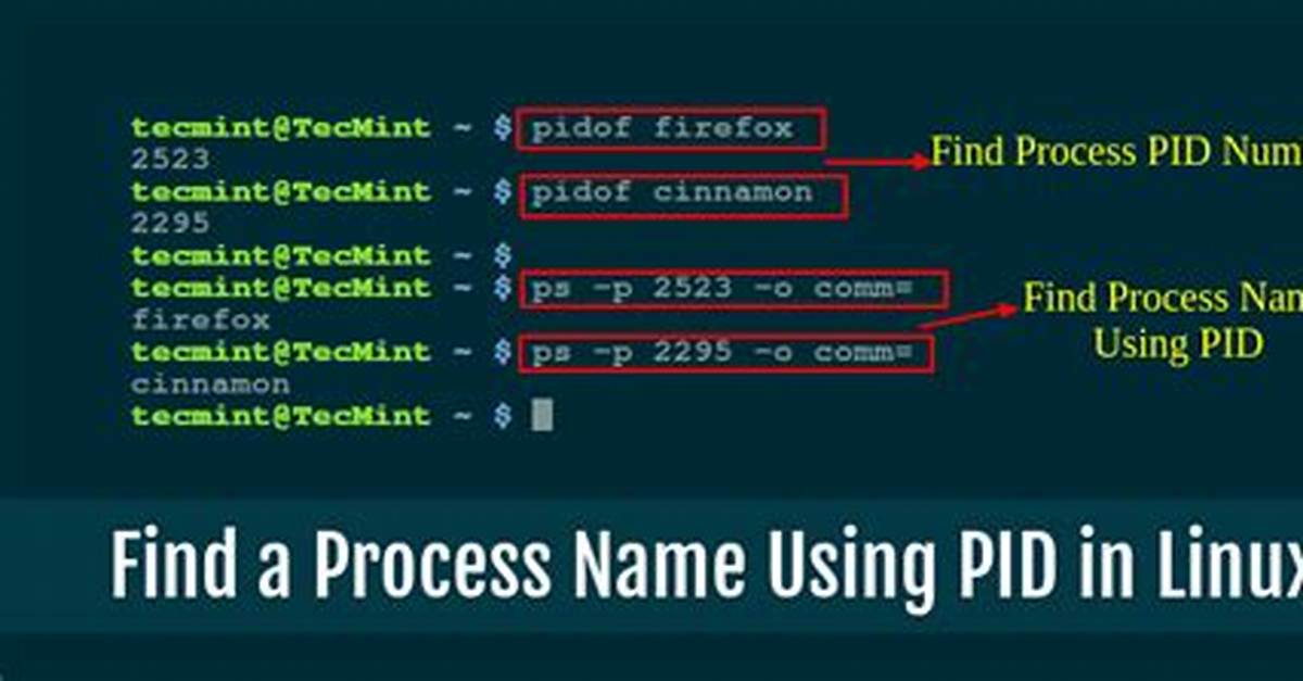 Your Question: How Find Pid Process Name in Linux?