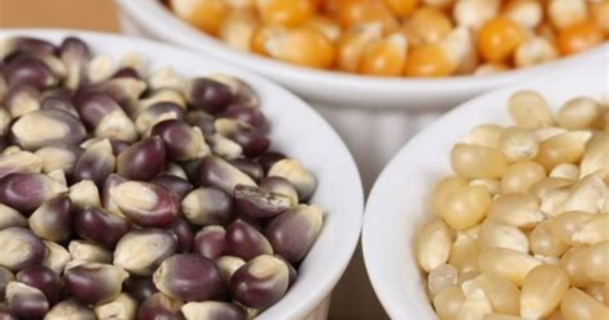 Your Question: How Many Kernels Are There in Linux?