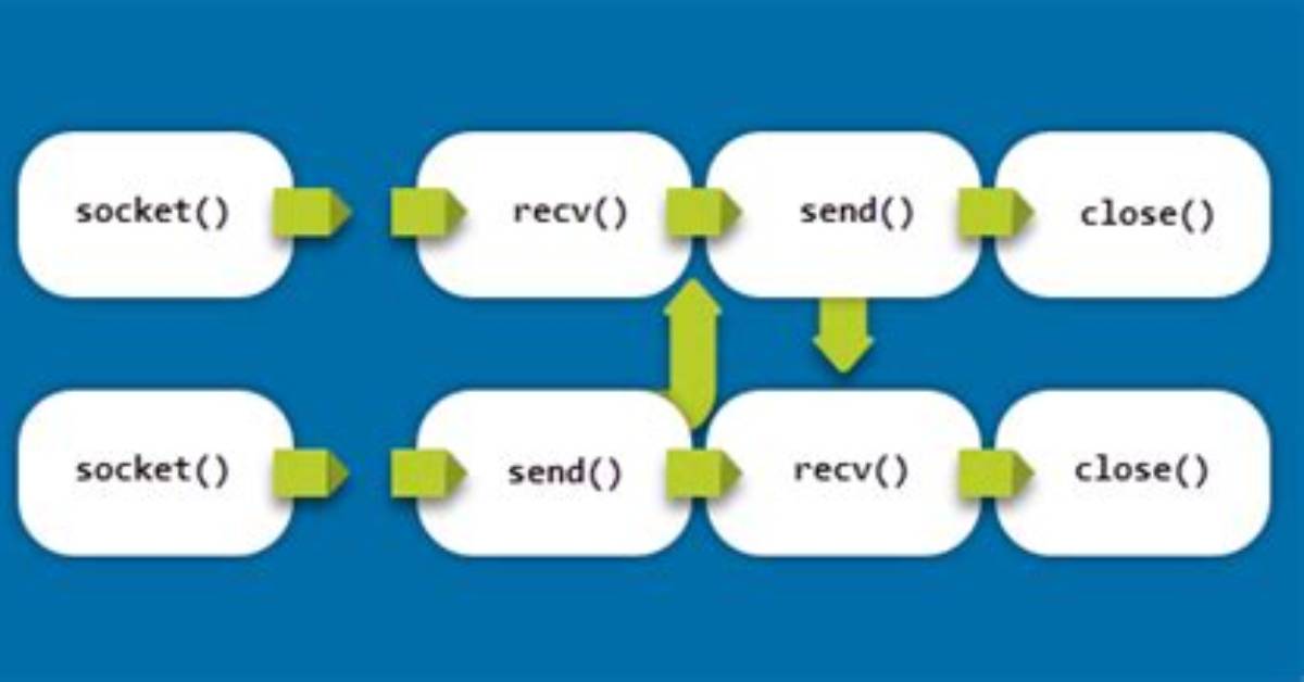 Your Question: How Sockets Work in Linux?