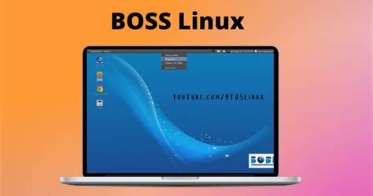 Your Question: Is Boss Linux Secure?