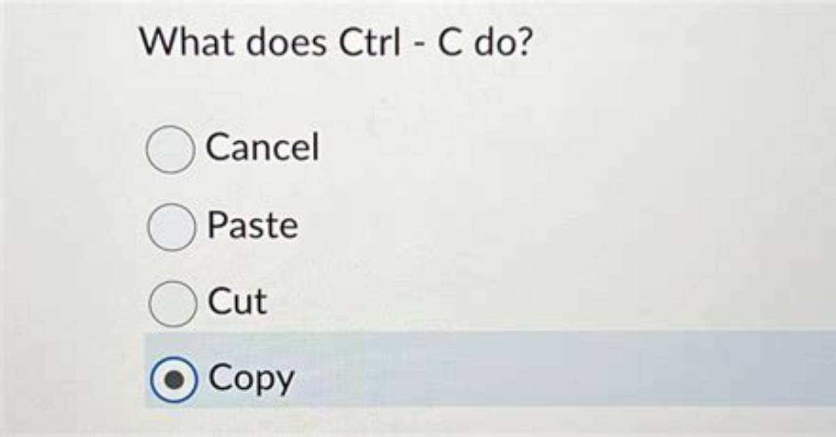 Your Question: What Does Ctrl C Do in Linux?