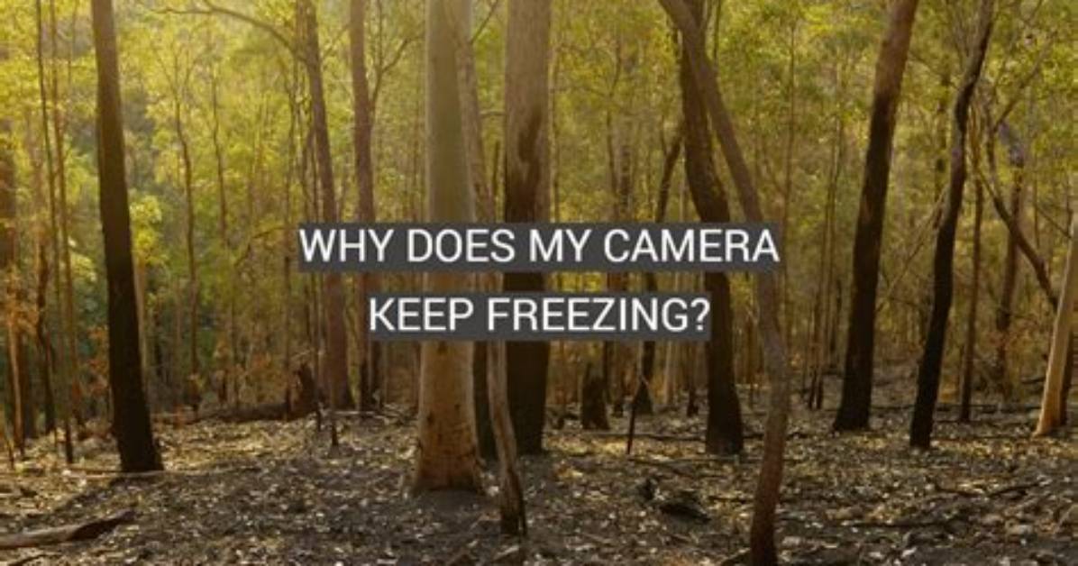Your Question: Why Does My Android Camera Not Work?
