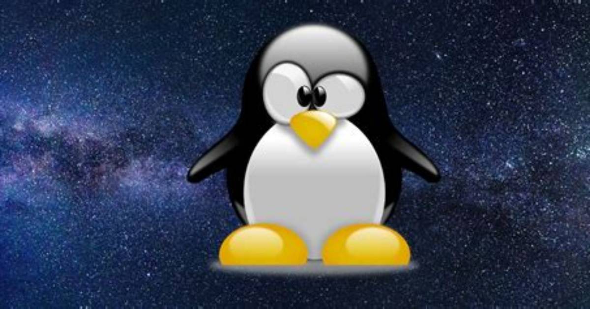 Your Question: Why Is Linux a Penguin?