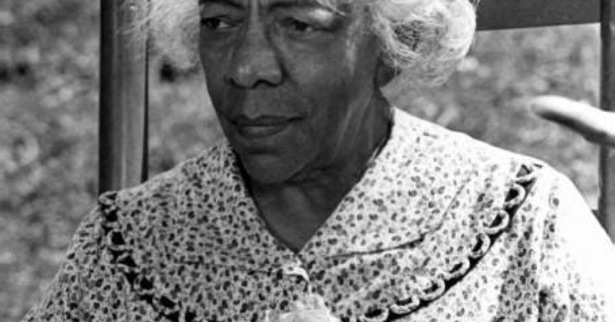 Zara Cully Net Worth
